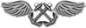 Aviation Boatswain's Mate - Launch & Recovery rating badge