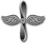 Aviation Machinist's Mate rating badge