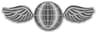 Aviation Electrician's Mate rating badge