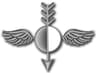 Aerographer's Mate rating badge
