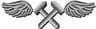 Aviation Structural Mechanic rating badge