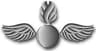 Aviation Ordnanceman rating badge
