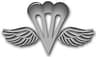 Aircrew Survival Equipmentman rating badge