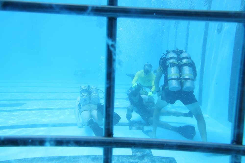 Navy Diver sailor